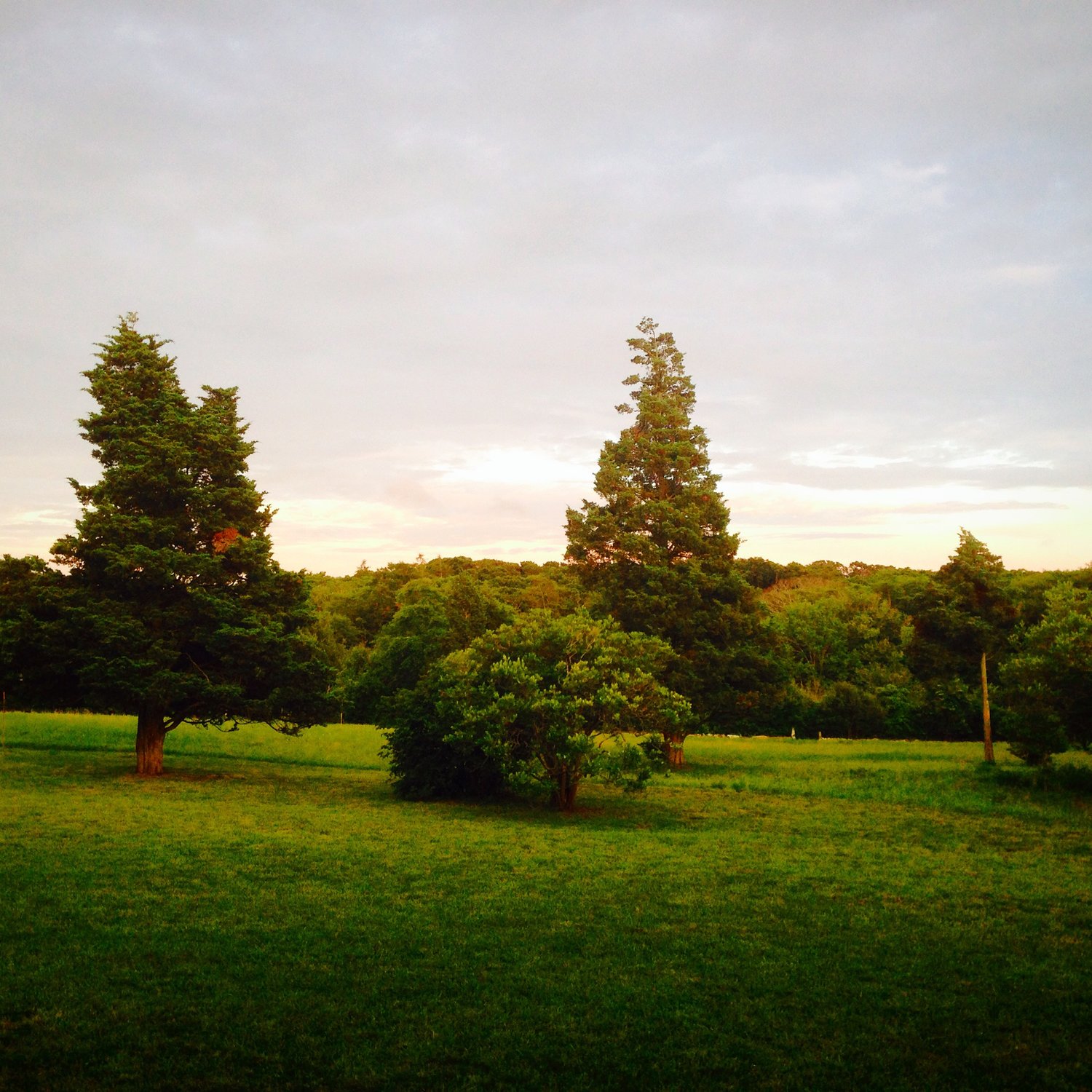 Sun Basket Hacks Elevated Socal Fish Tacos Look At The Beautiful
