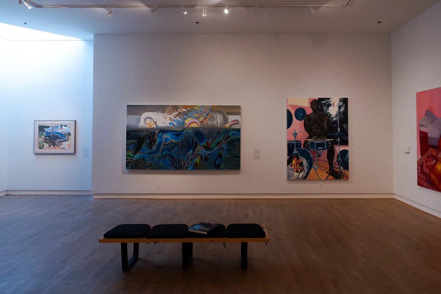   Young, Gifted and Black: The Lumpkin-Boccuzzi Family Collection of Contemporary Art  at the Santa Cruz Museum of Art &amp; History, August 23 – December 29, 2024. Photo: Daris Jasper 