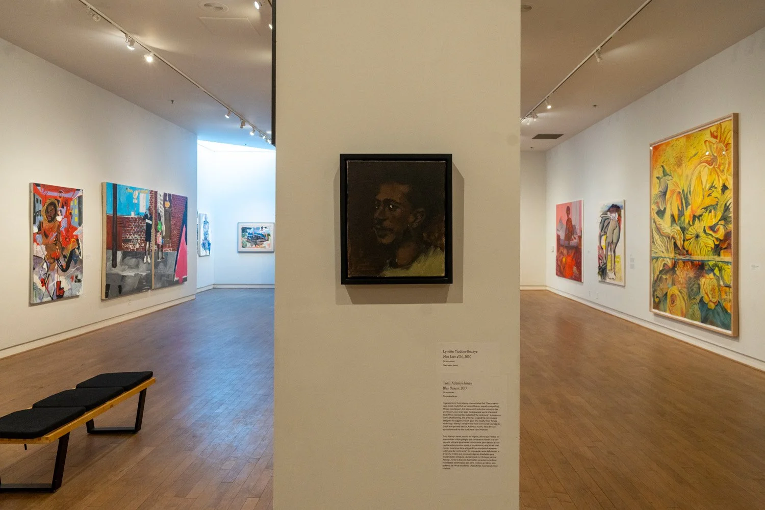   Young, Gifted and Black: The Lumpkin-Boccuzzi Family Collection of Contemporary Art  at the Santa Cruz Museum of Art &amp; History, August 23 – December 29, 2024. Photo: Daris Jasper 