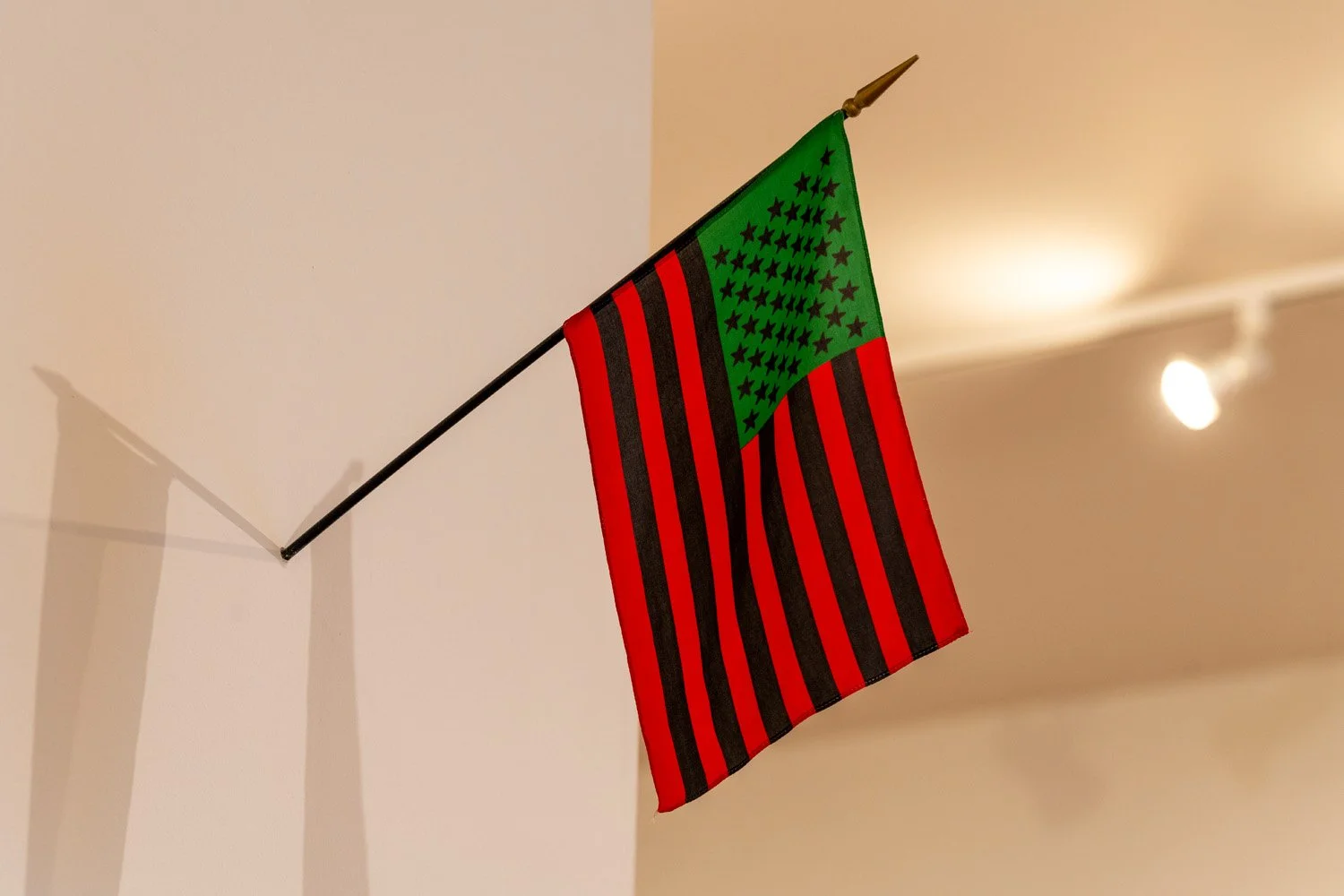   Young, Gifted and Black: The Lumpkin-Boccuzzi Family Collection of Contemporary Art  at the Santa Cruz Museum of Art &amp; History, August 23 – December 29, 2024. Photo: Daris Jasper 