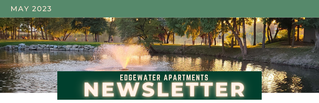 Copy of Edgewater Logo Email Header (8).png