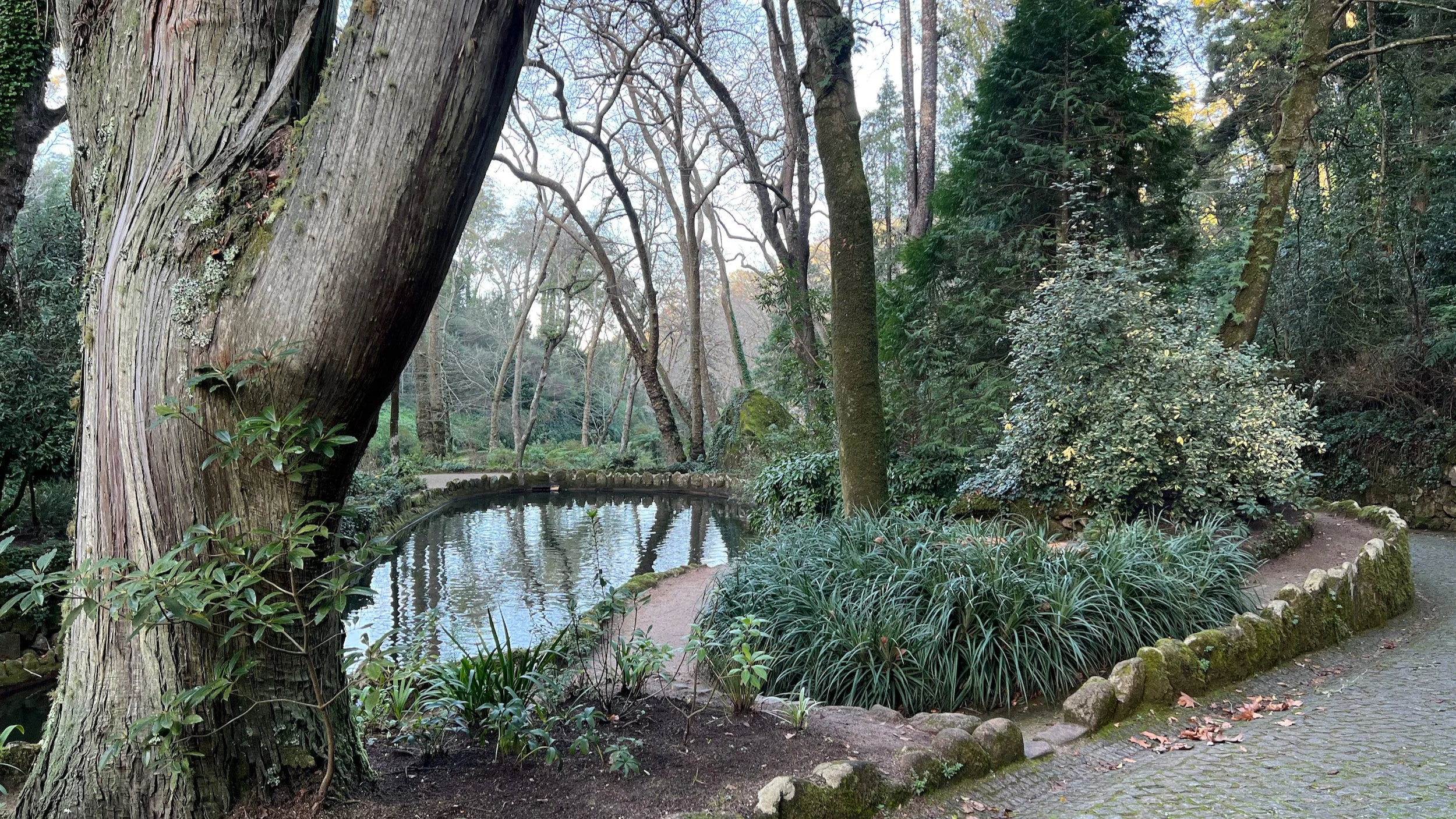 portugal-reiseziele - 343.jpeg