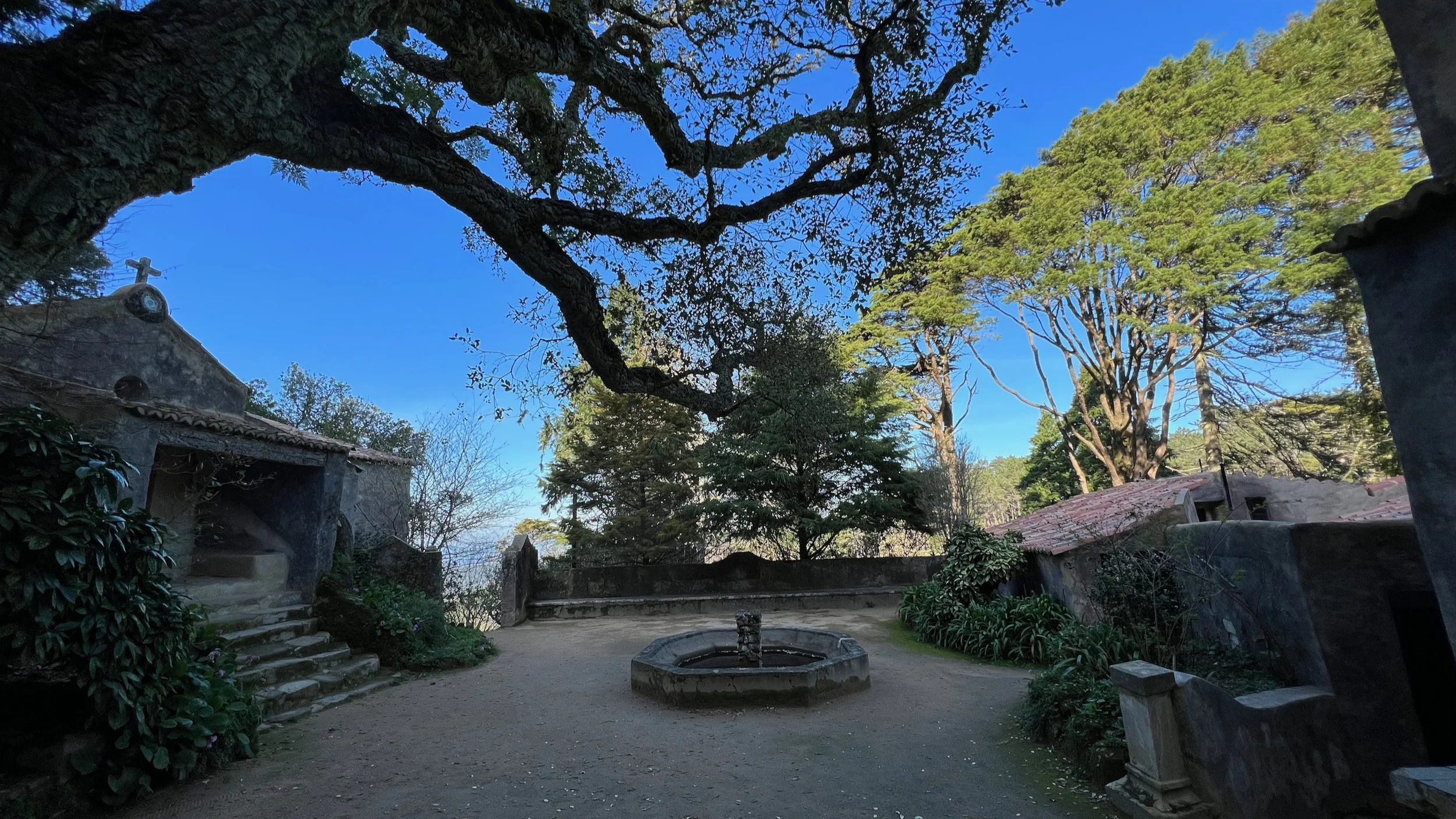 portugal-reiseziele - 357.jpeg