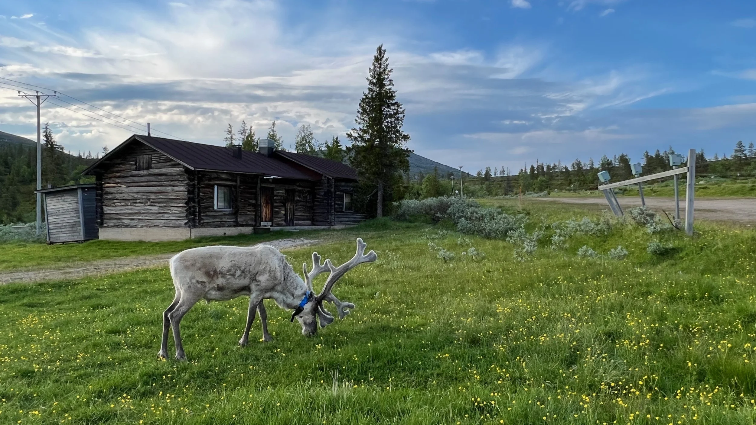 Pallas Yllästunturi Nationalpark Finnland — JayBe.tv
