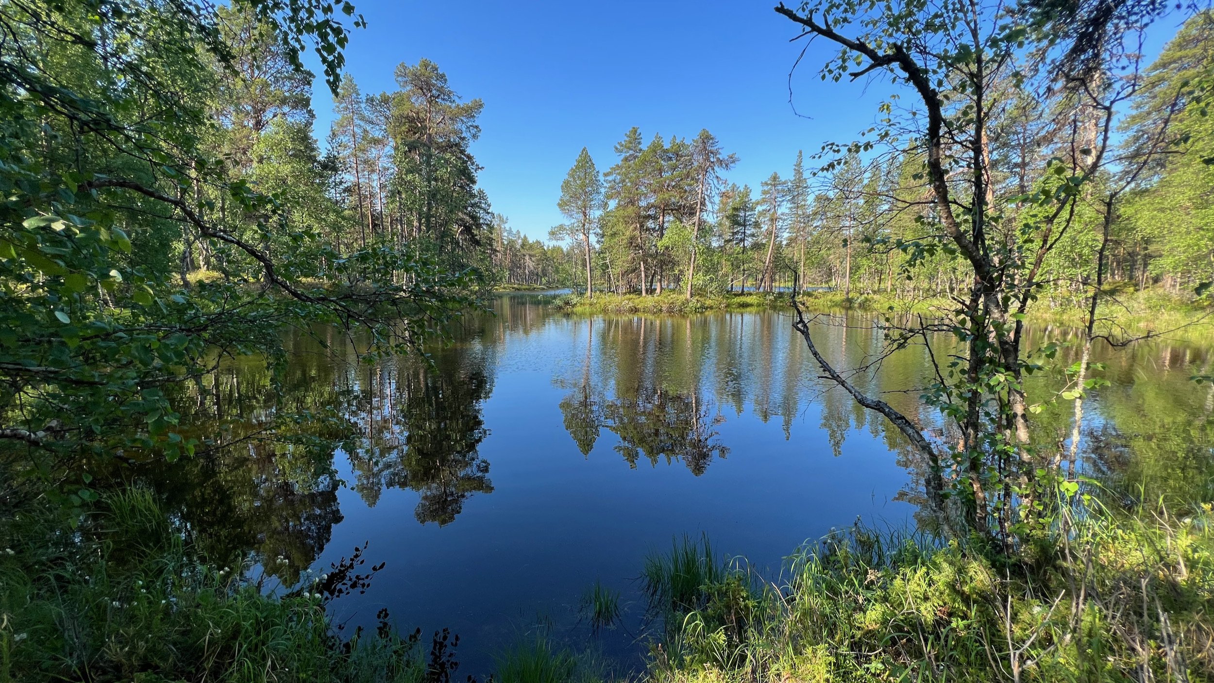 Finnland-Lemmenjoki-Nationalpark - 2.jpeg