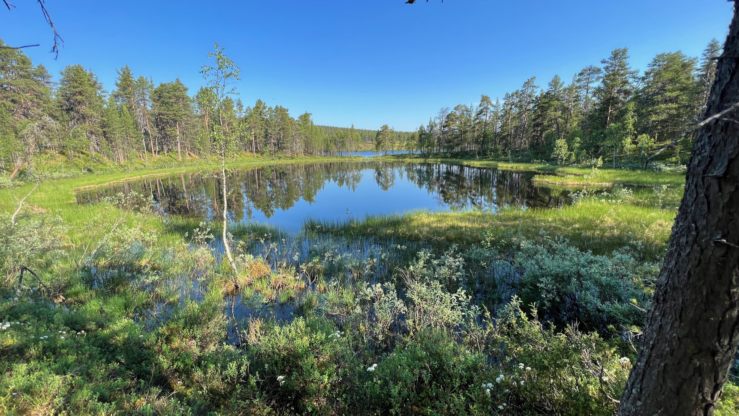 Finnland-Lemmenjoki-Nationalpark - 4.jpeg