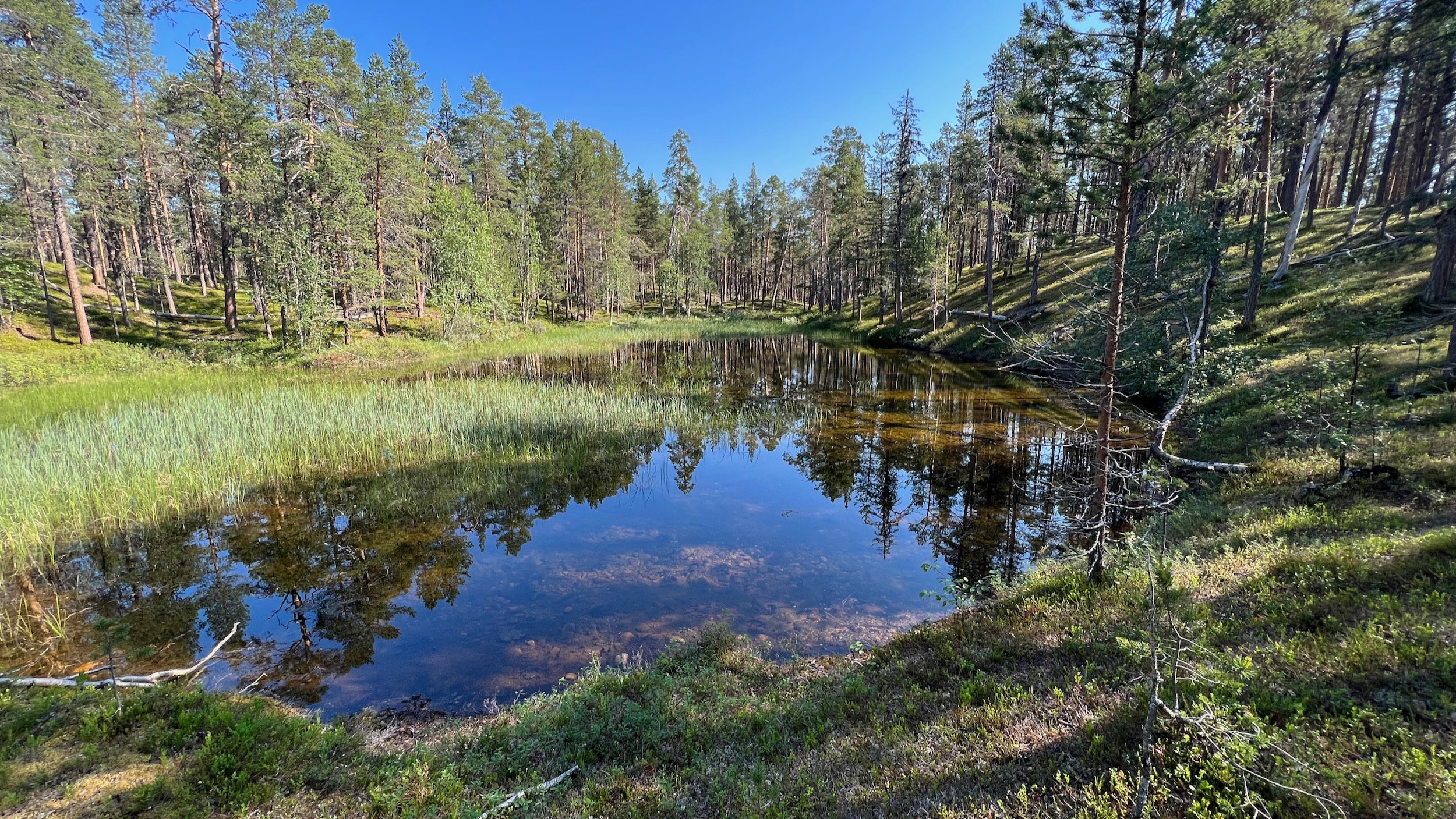 Finnland-Lemmenjoki-Nationalpark - 6.jpeg