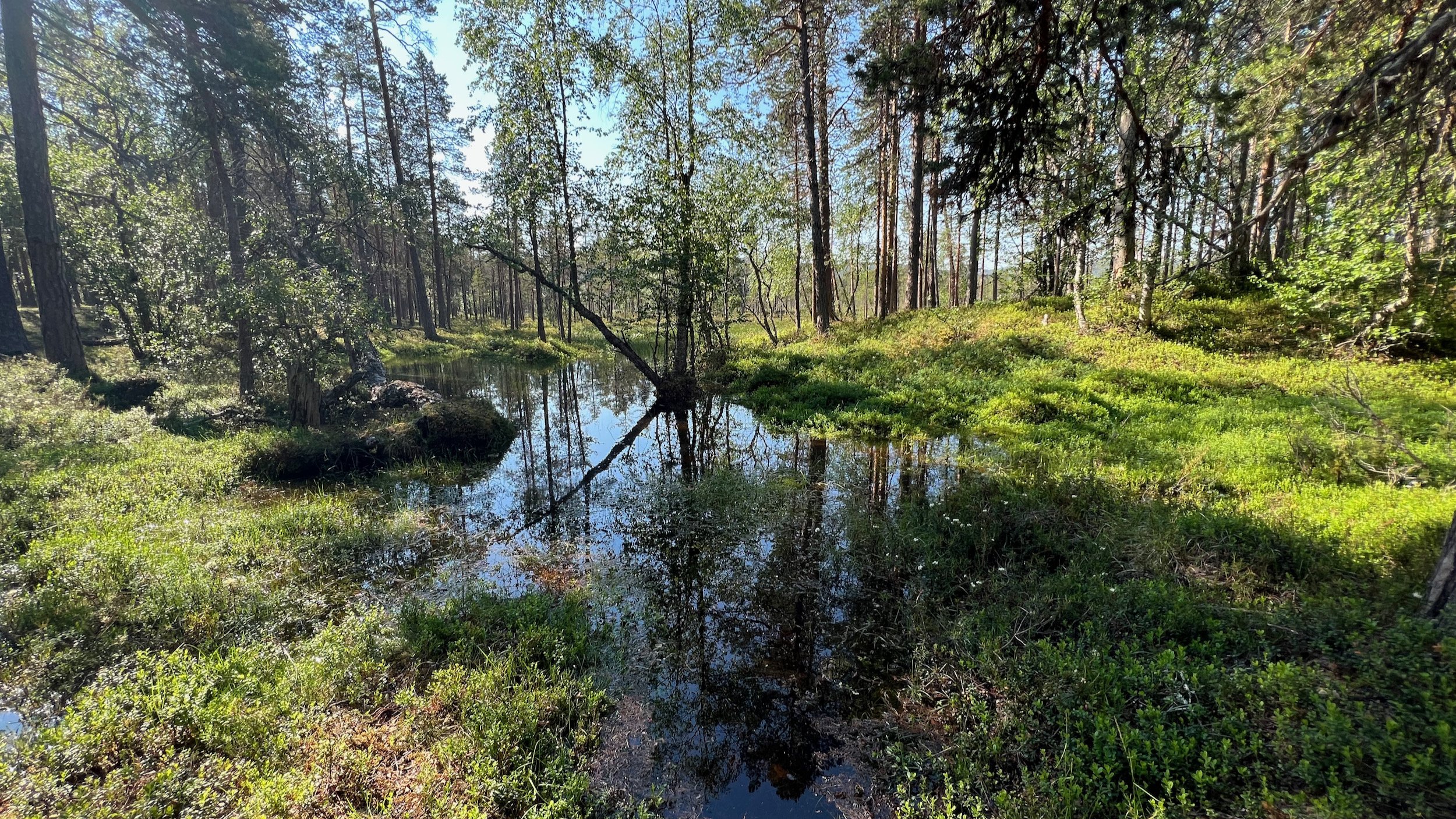 Finnland-Lemmenjoki-Nationalpark - 7.jpeg
