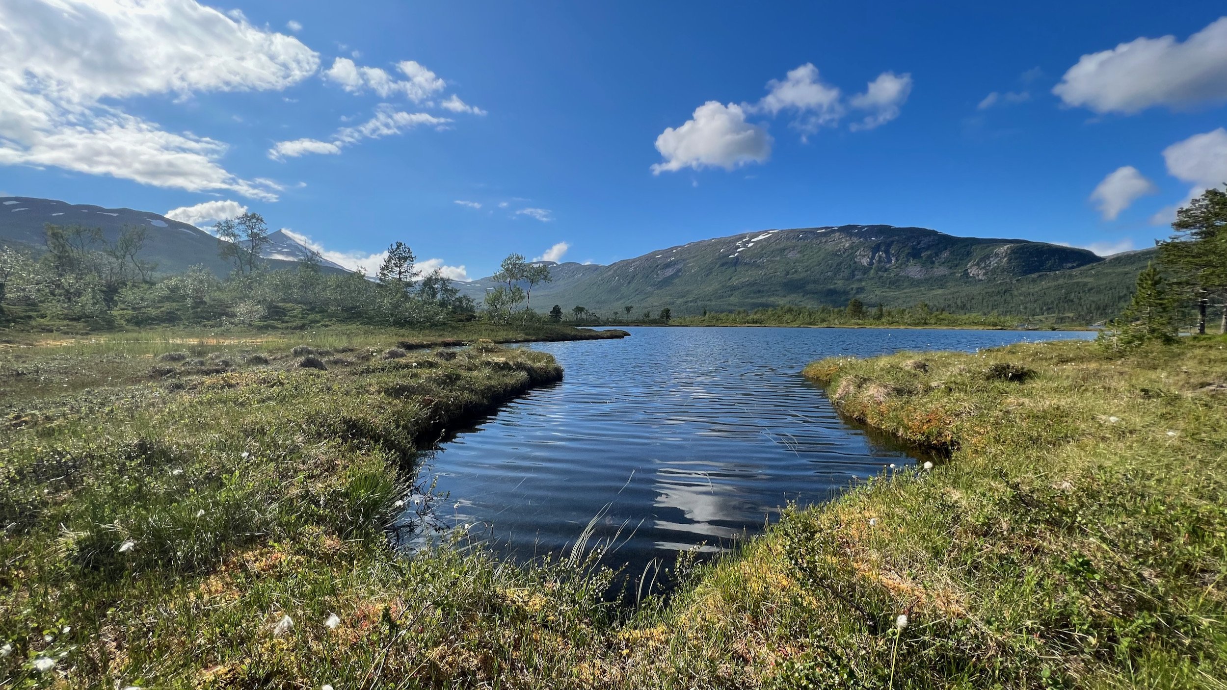 jaybe-norwegen-Ånderdalen Nationalpark - 20.jpeg