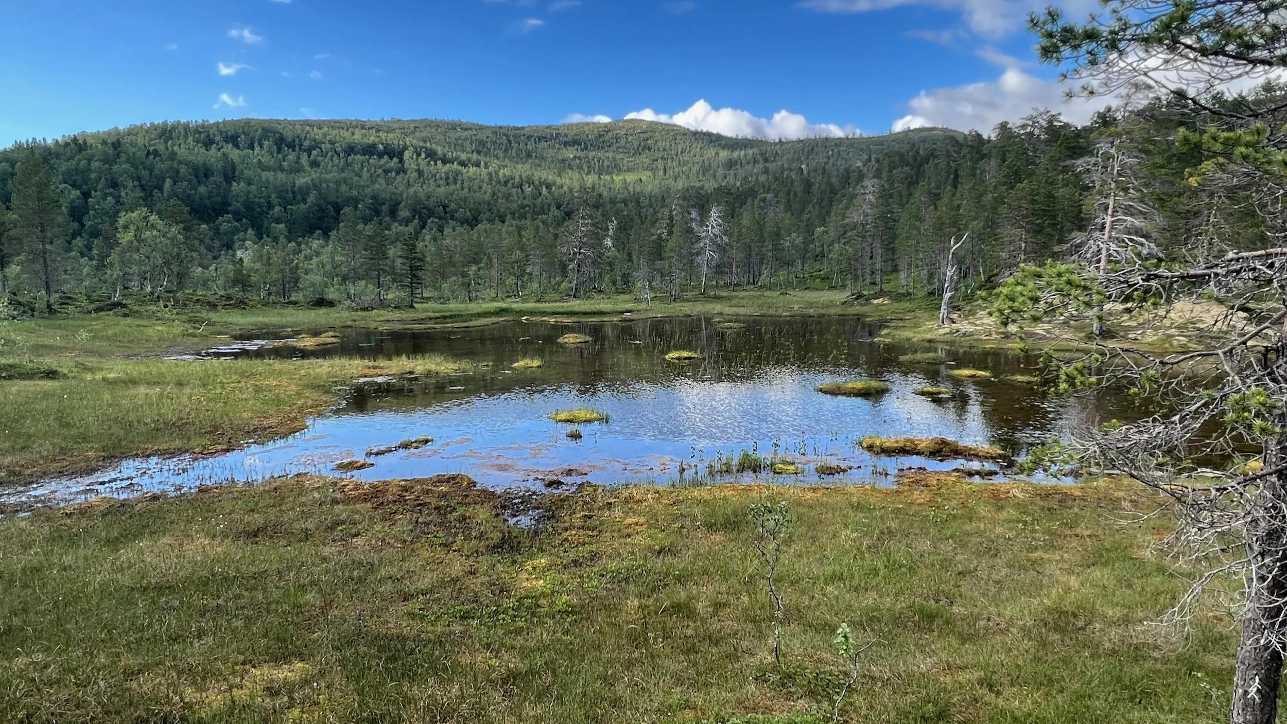 Ånderdalen Nationalpark Norwegen — JayBe.tv