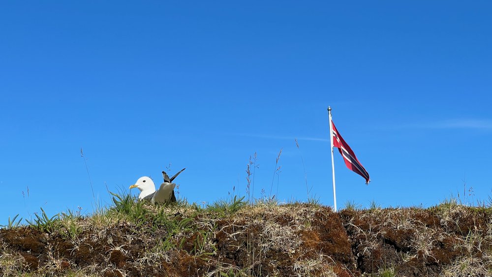 jaybe-norwegen-Senja Mefjord - 9.jpeg