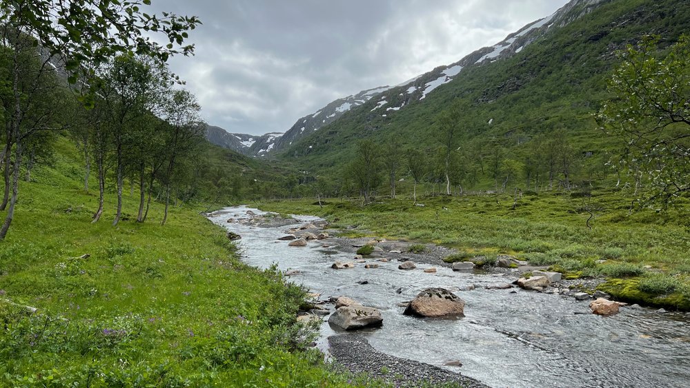 Saltfjellet-Svartisen-Nationalpark - 8.jpeg