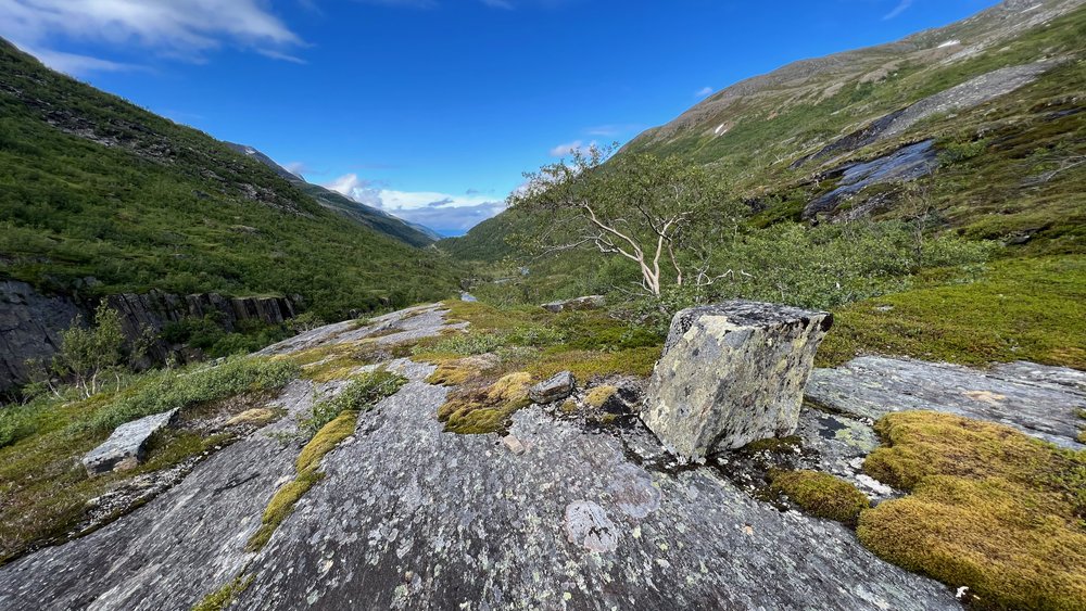 Saltfjellet-Svartisen-Nationalpark - 26.jpeg