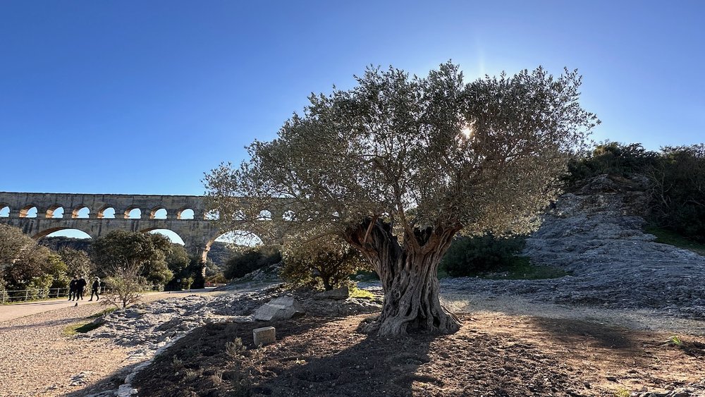 pont-du-gard - 5.jpeg