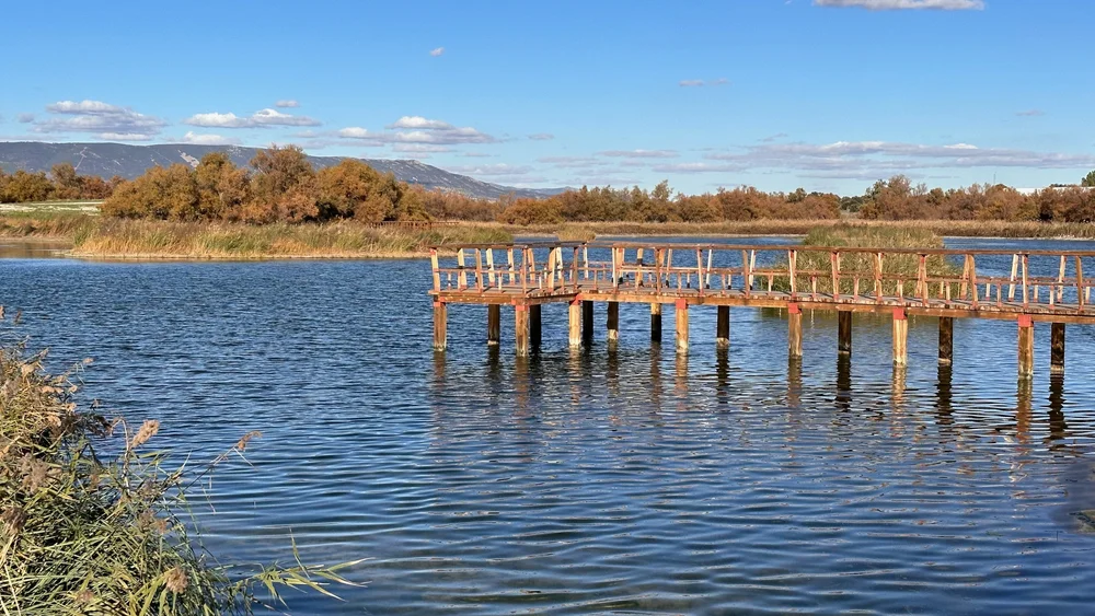 Spanien Nationalpark Tablas de Daimiel - 6.jpeg