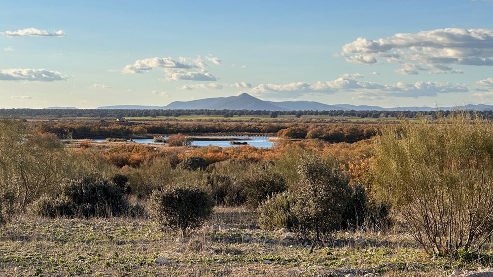 Spanien Nationalpark Tablas de Daimiel - 8.jpeg