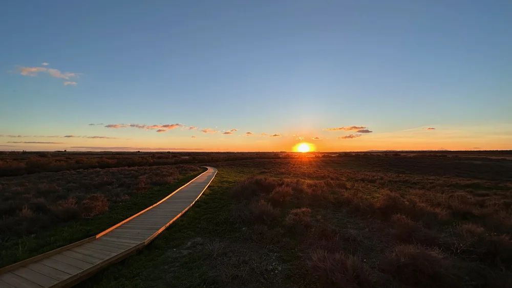 Spanien Nationalpark Tablas de Daimiel - 13.jpeg