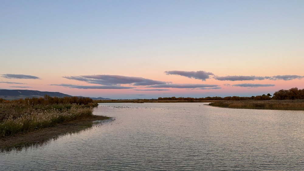 Spanien Nationalpark Tablas de Daimiel - 18.jpeg