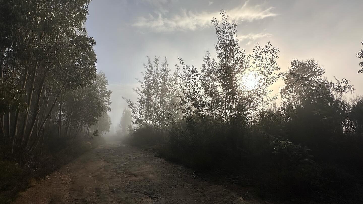 Wild Spirit Land - Mein eigenes Land in Portugal. Meine neue Serie auf YouTube und ein neuer Lebensabschnitt in meiner Realit&auml;t. 
Offgrid, Autark, mitten in der Natur und wundersch&ouml;n. Was f&uuml;r ein Abenteuer. Von der totalen &Uuml;berfor