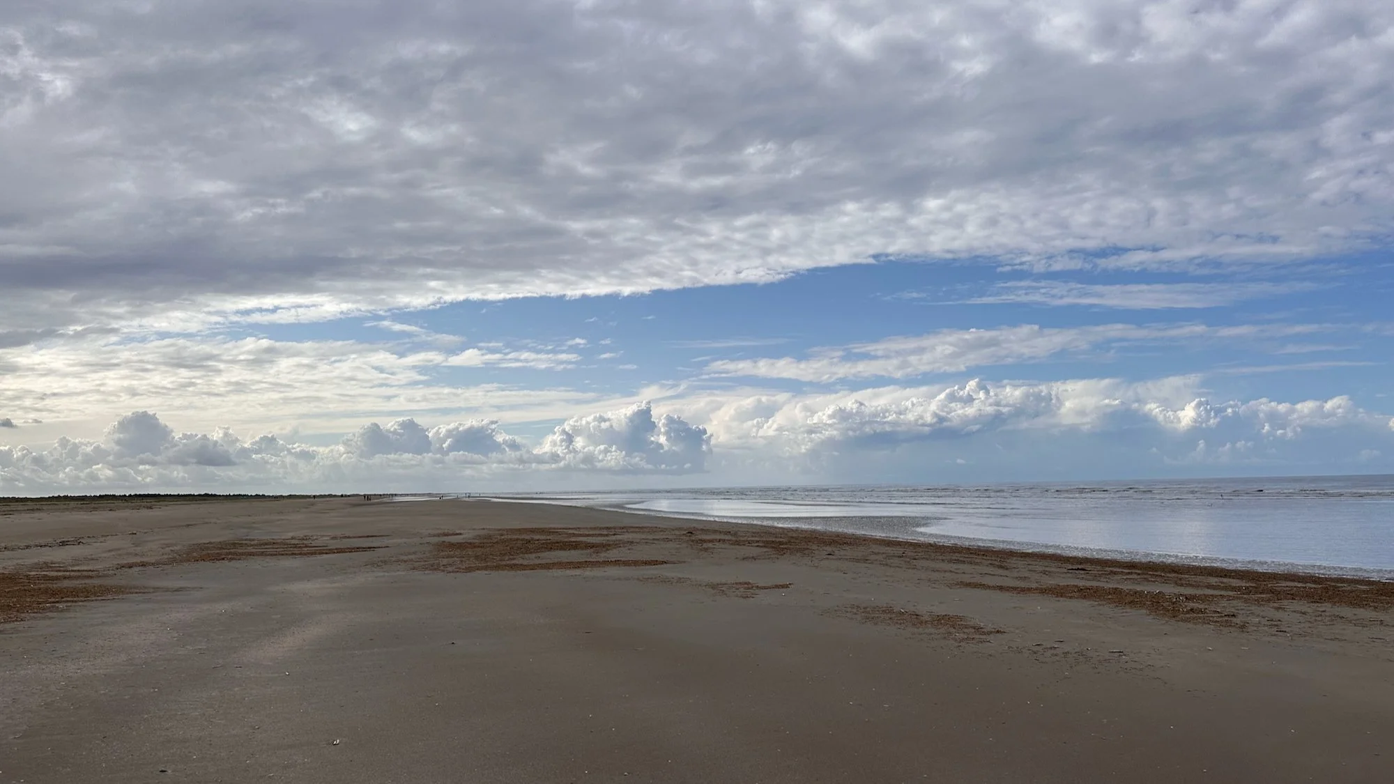 Nationalpark Vadehavet (Wattenmeer)