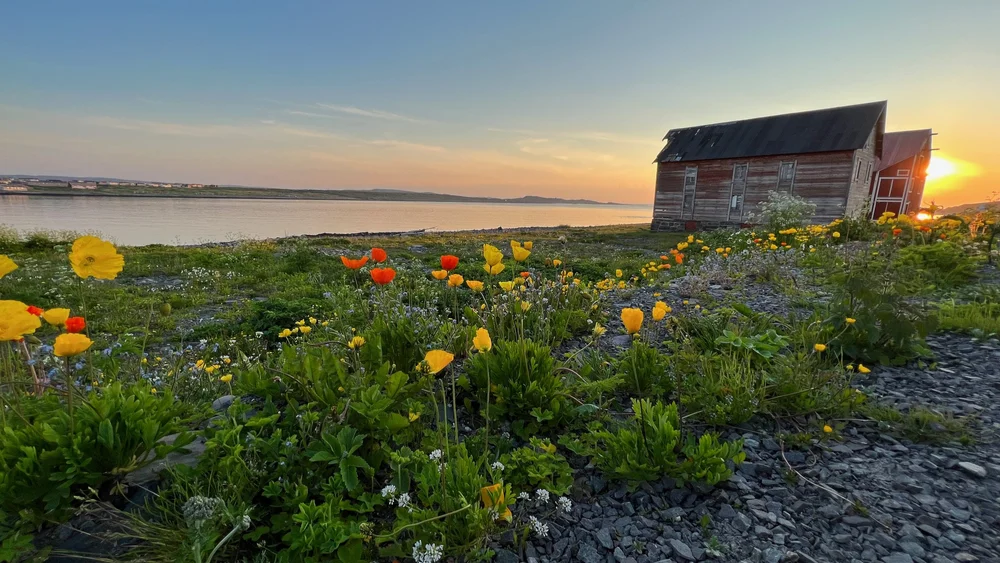 Vardo Die Krönung von Europa — JayBe.tv