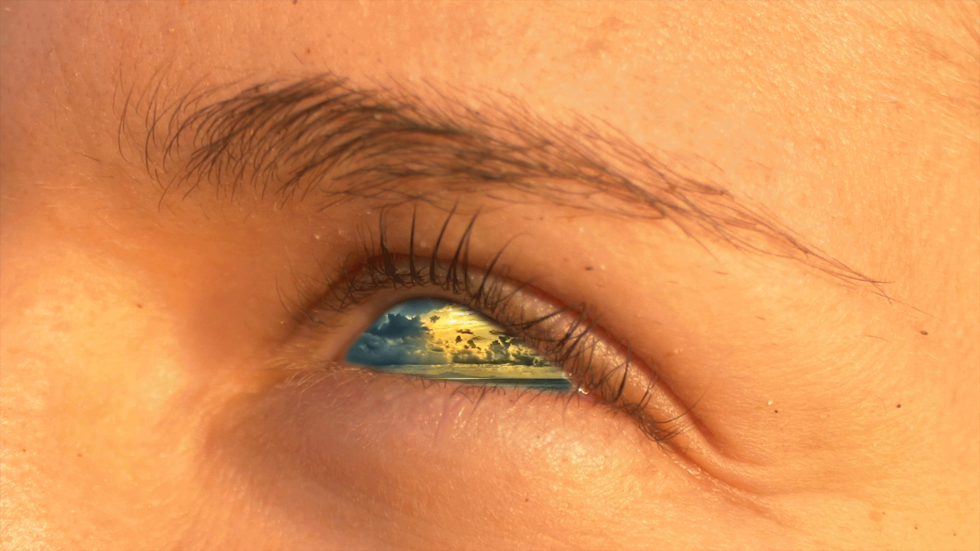 GIF video background.gif