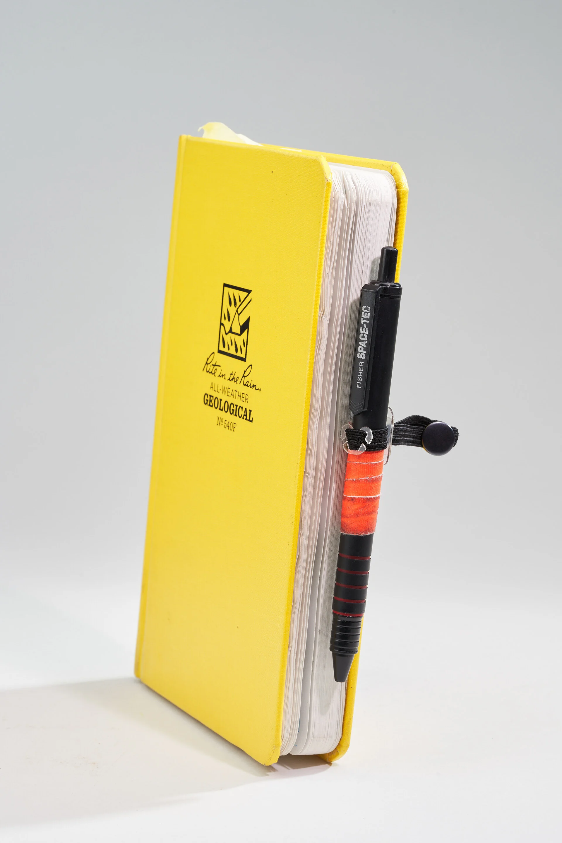 Flat Version holding a Pen