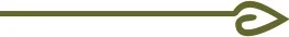 Arrow_Down.jpg
