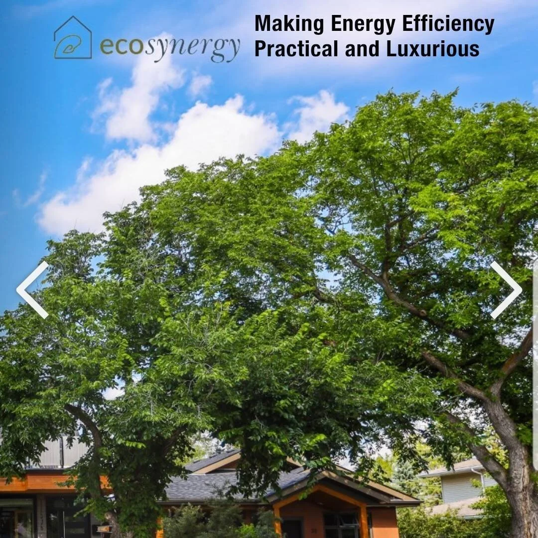 Our Services — Ecosynergy