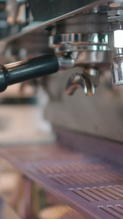 The Reverse Orangutan-high.gif