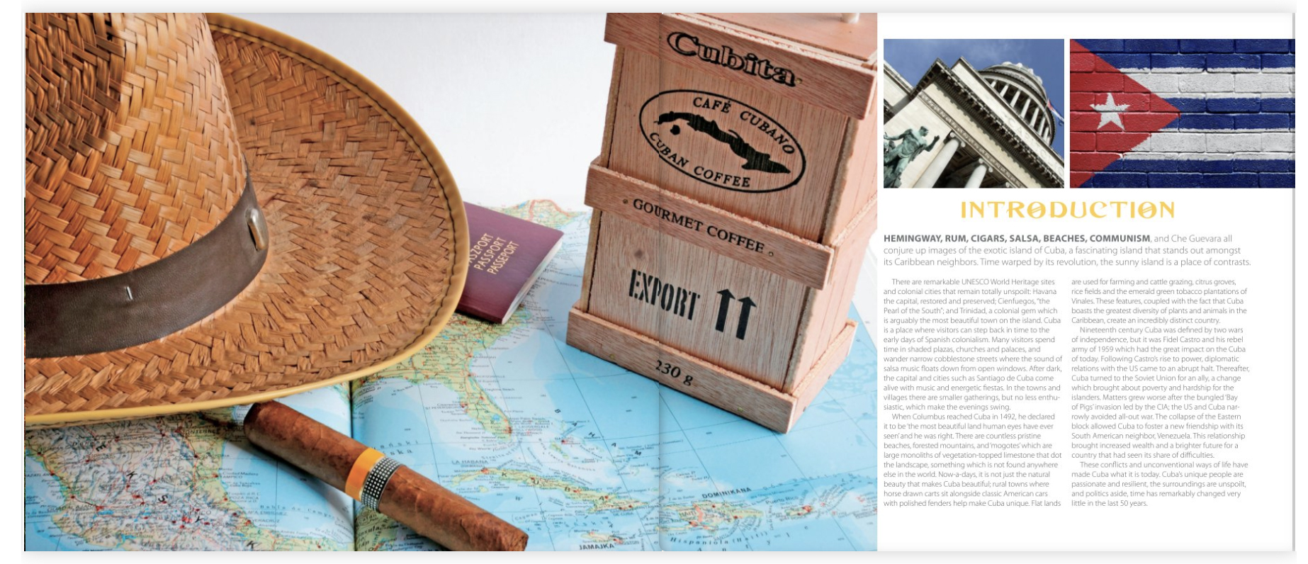 Screen Shot 2019-03-12 at 3.54.33 PM copy.jpg