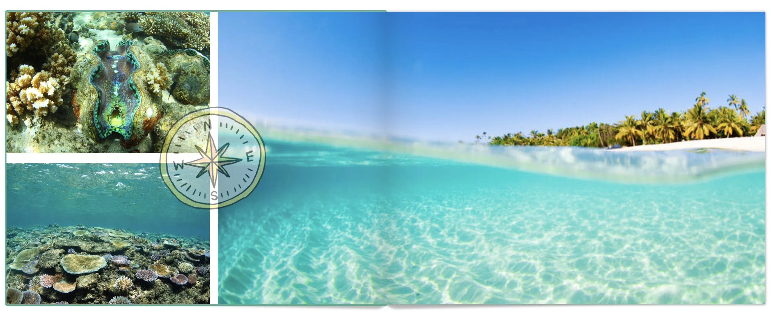 6. Fiji Underwater Spread copy.jpg