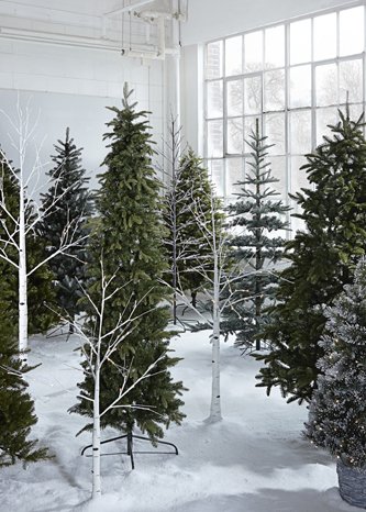 AW14_HOME_TREE_FOREST_REAL_TREES_TREE_FOREST_ALT15.jpg