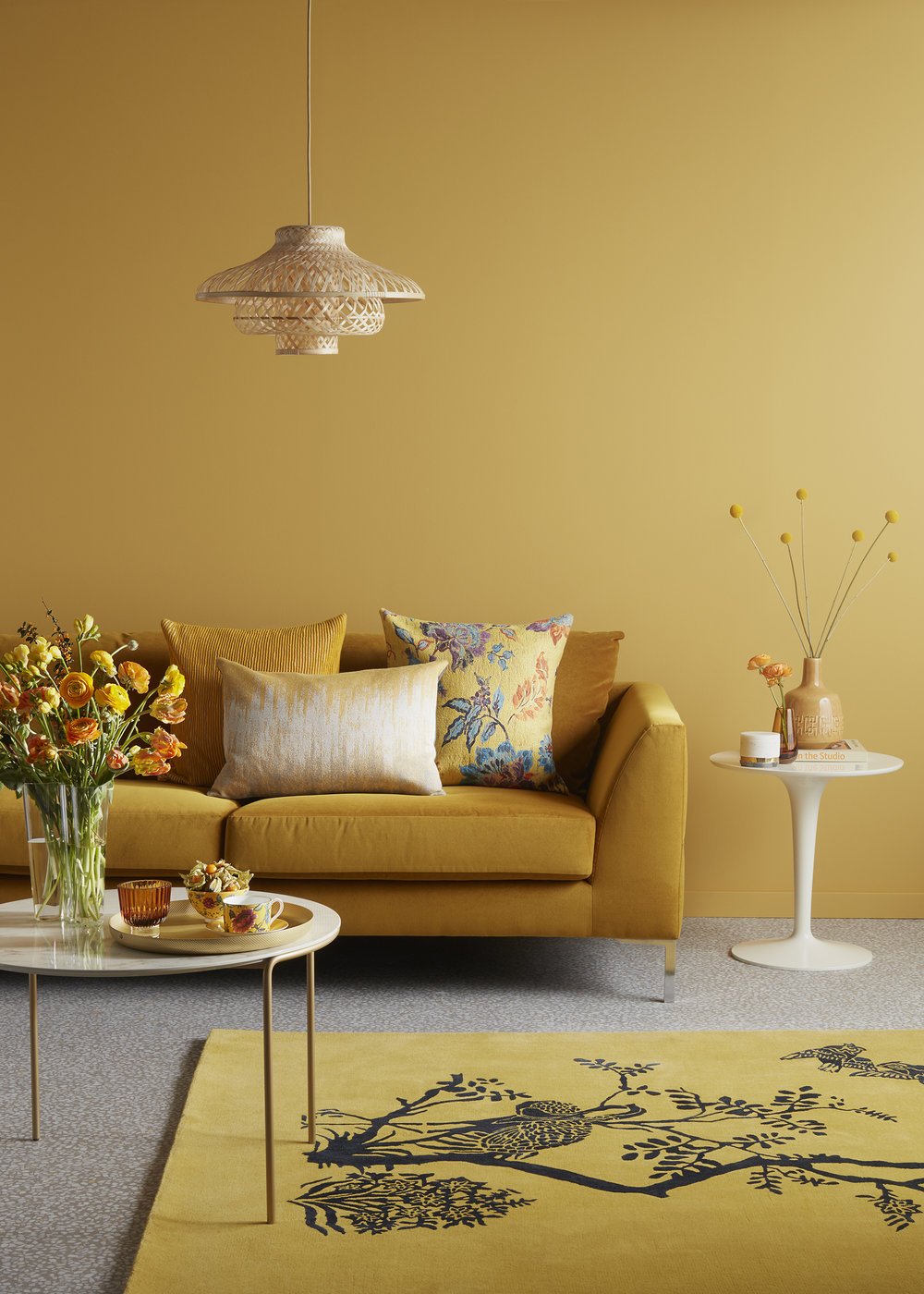 YELLOW_TREND_SHOOT_ROOMalt10.jpg