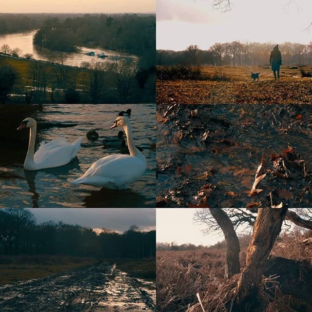 Keep updated with my company @skylarkvision new stock footage coming soon!
Filmed only in 4k affordable exclusive rights only!
Each footage comes raw & grades.
For stock footage requests please email hello@skylarkvision.net
#SkylarkVision #fo