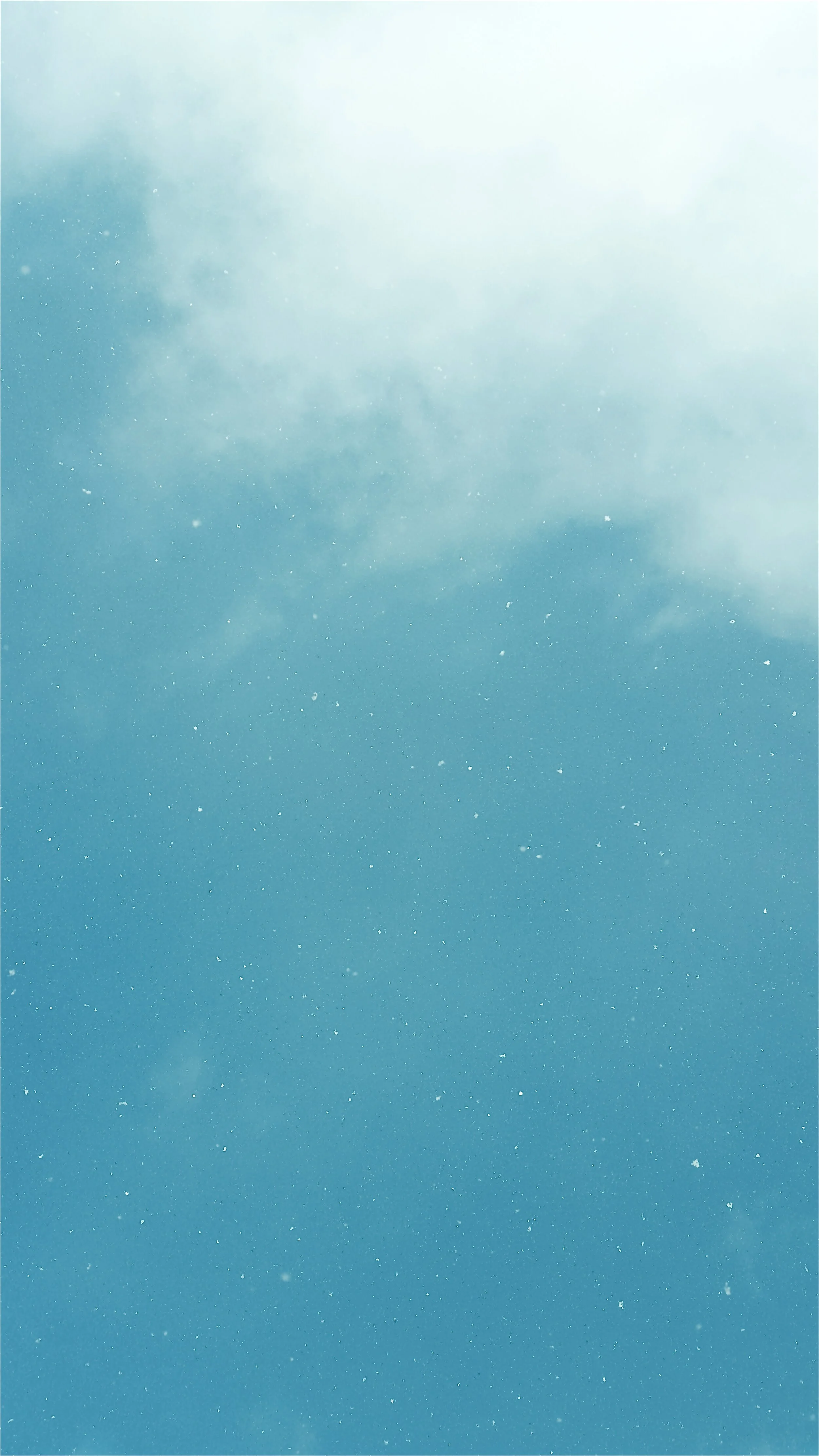 66D68822-C667-4D1E-A2EC-6A4027E27B32.jpeg