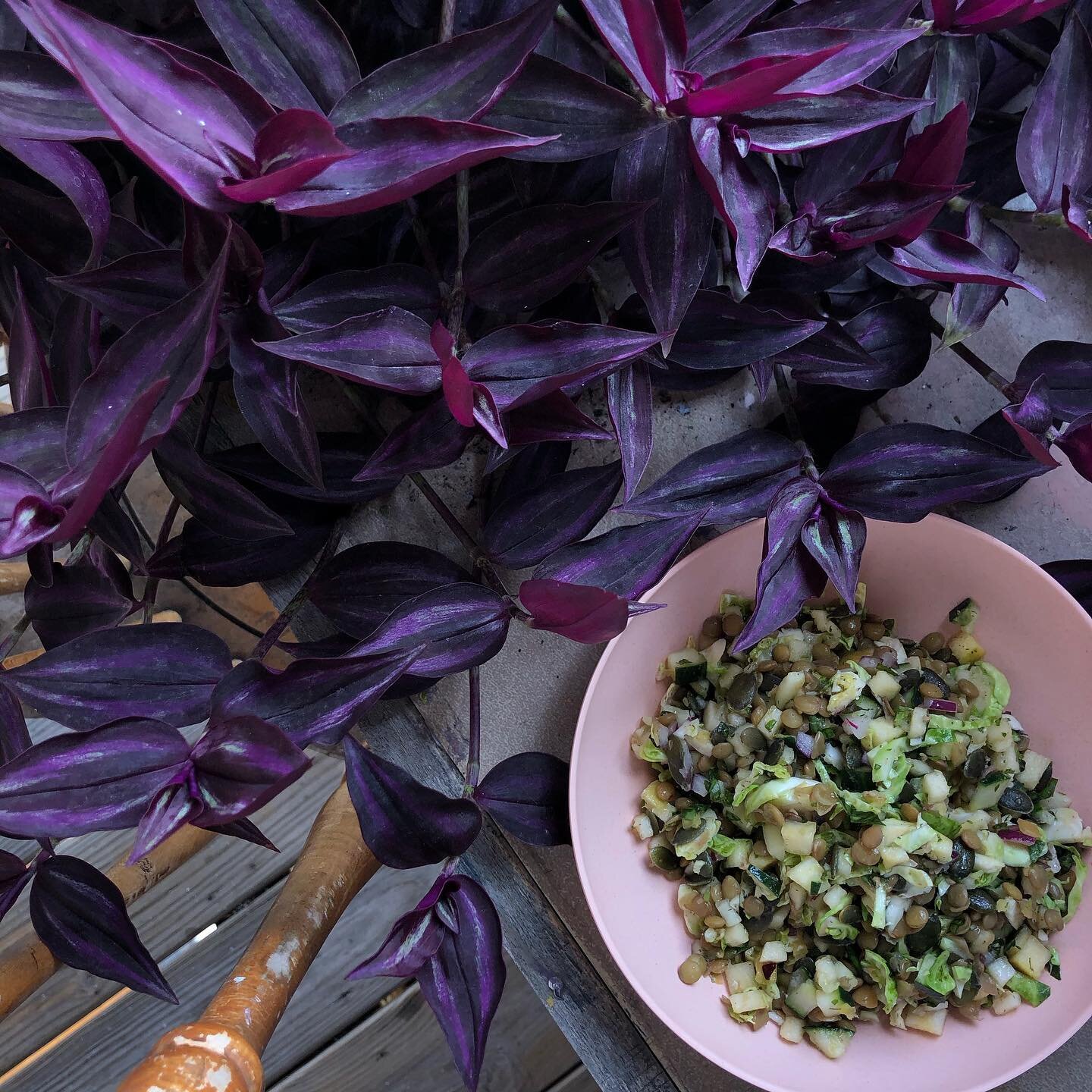 today is a nice day&mdash;
I&rsquo;ve always liked Thursdays 
especially in September
when the air is cool 
and you can breath it all in
while you just sit 
today is a nice day
🌬🌬🌬🌬🌬🌬🌬

a nice day=a cool cucumber lentil salad with shredded bru