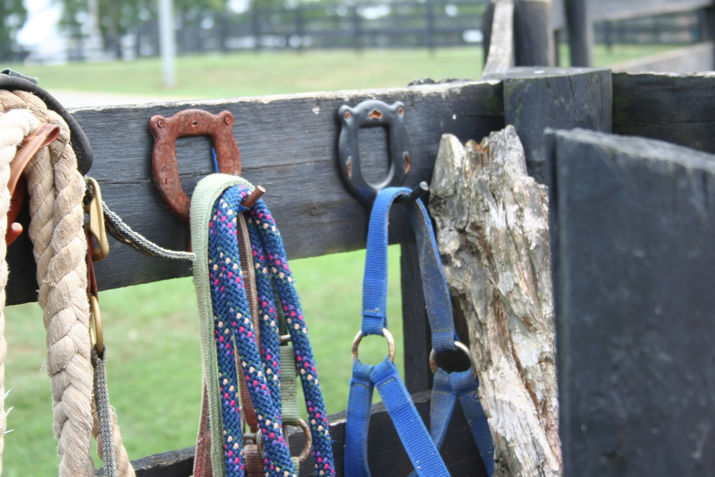 Aiken, South Carolina