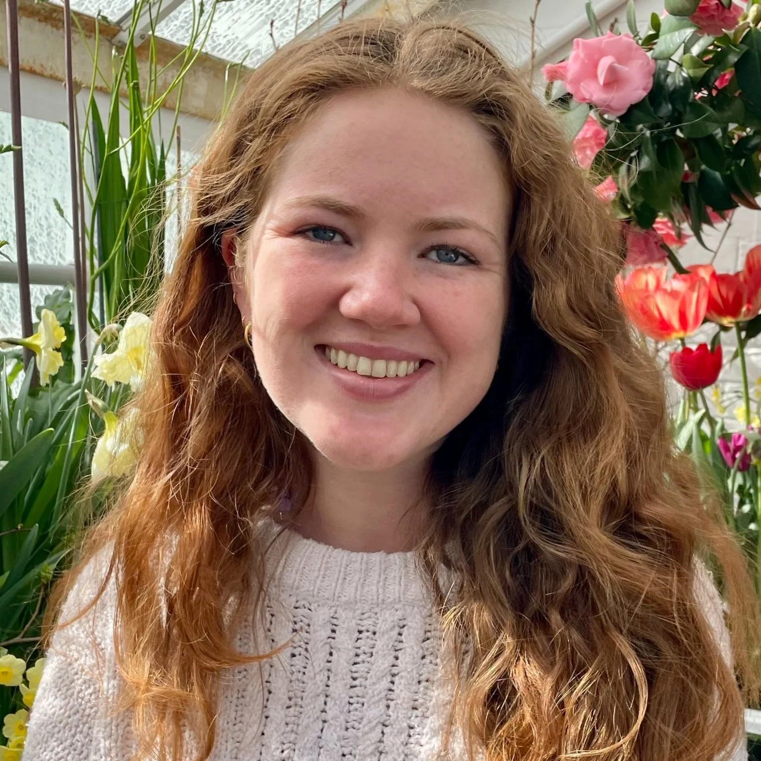 Brigid Donnellan, LCSW