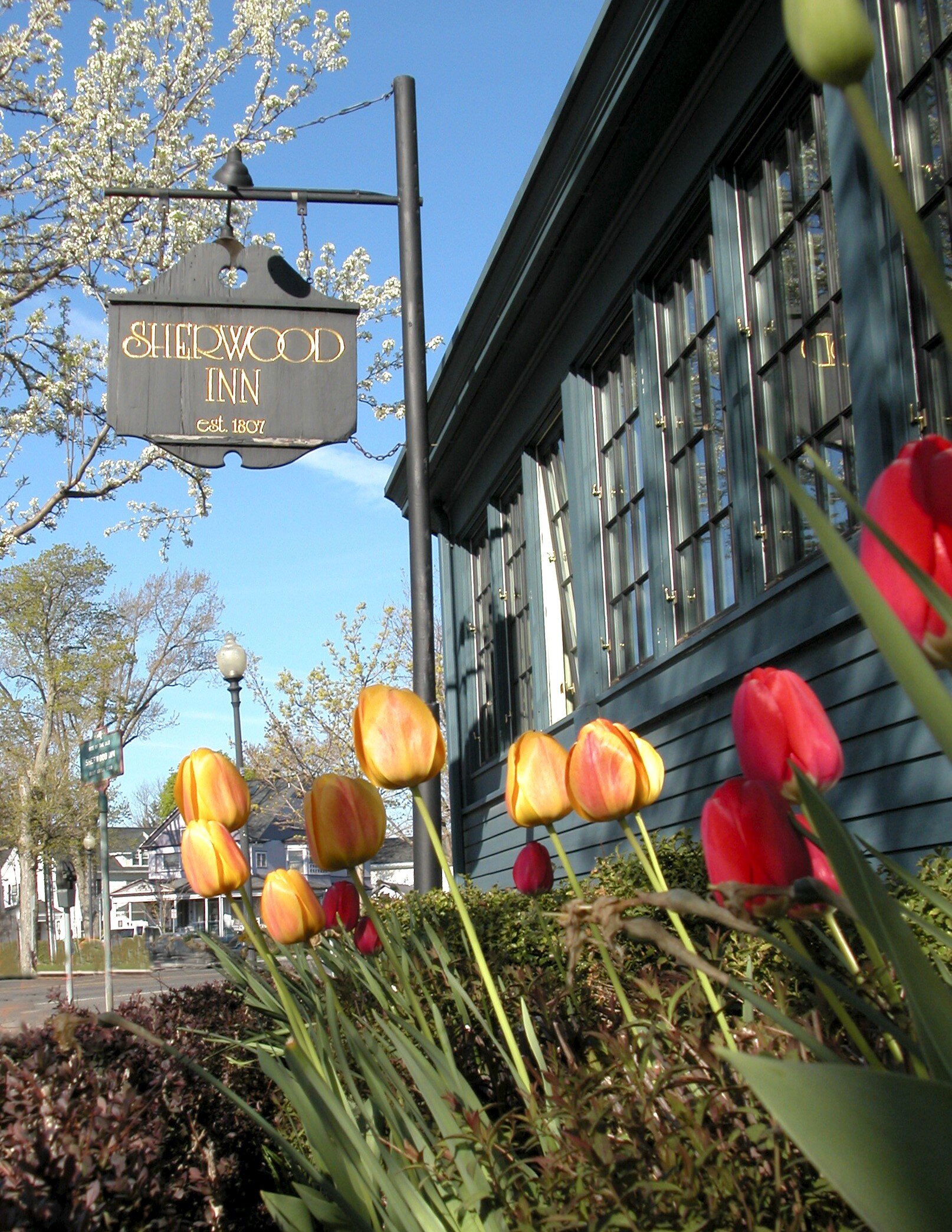 Sign and Tulips.jpg