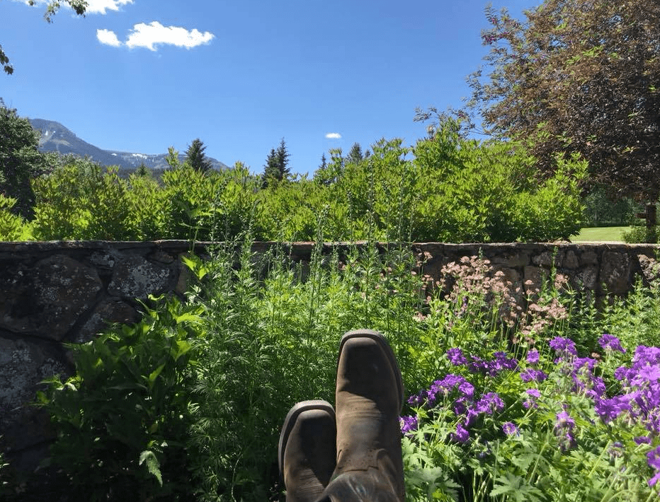 Screen Shot 2019-08-16 at 12.13.19 PM-min.png