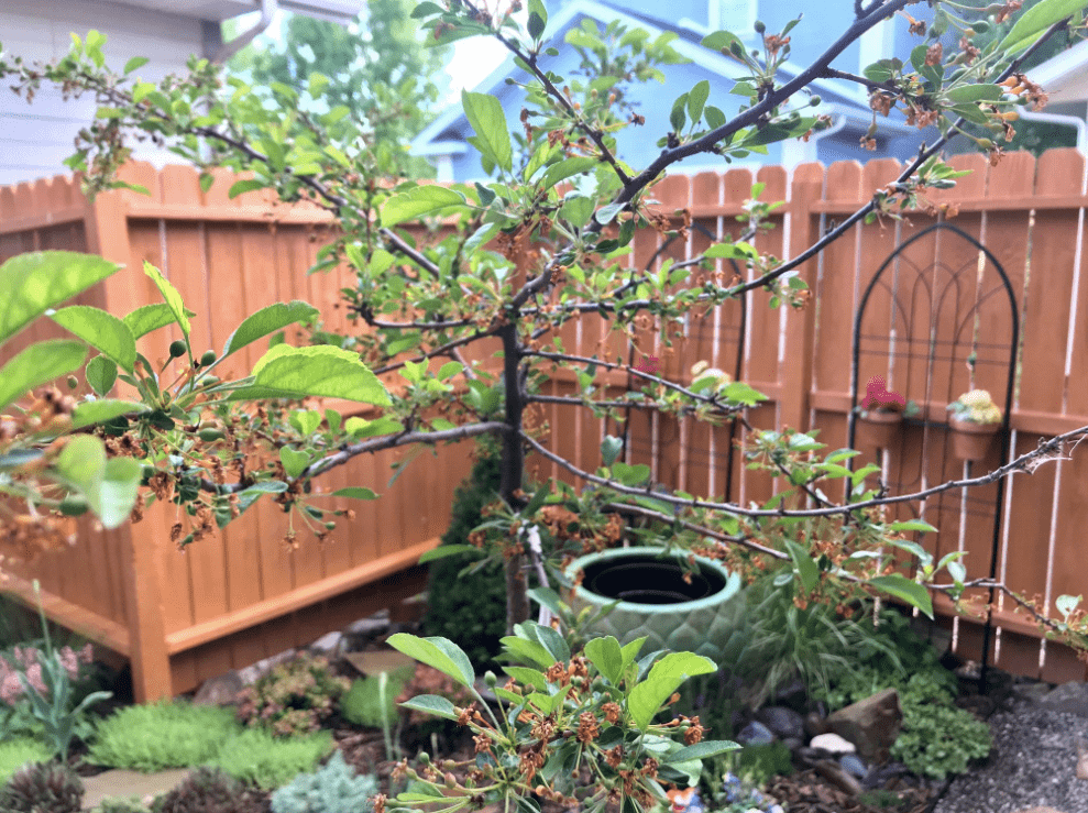 Screen Shot 2019-08-16 at 12.12.02 PM-min.png