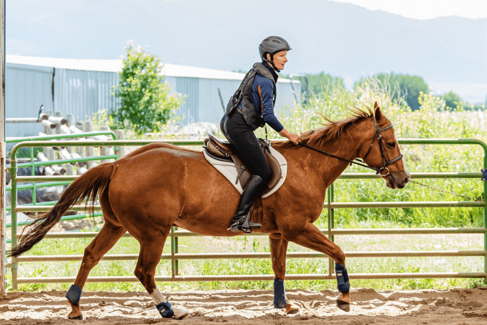 Screen Shot 2019-08-16 at 12.11.36 PM-min.png