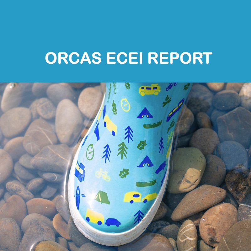 Orcas ECEI Spring Quarter 2024 Report