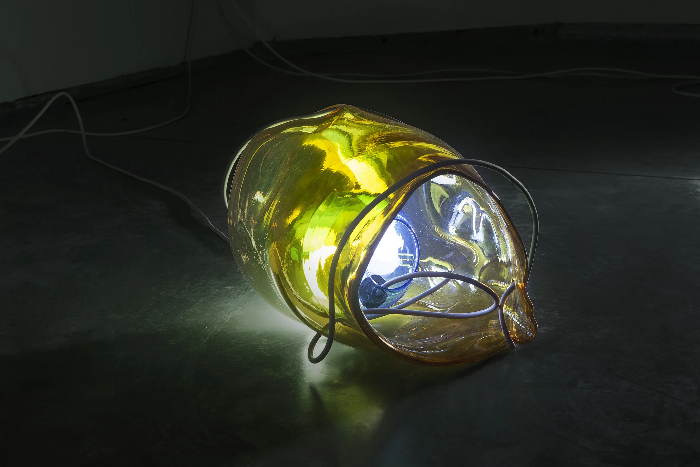 Hayley Silverman__Stranger Tanent_3, 2018_Blown glass, light fixture_HS18SC5980_x 25 cm 35 copy - Copy.jpg