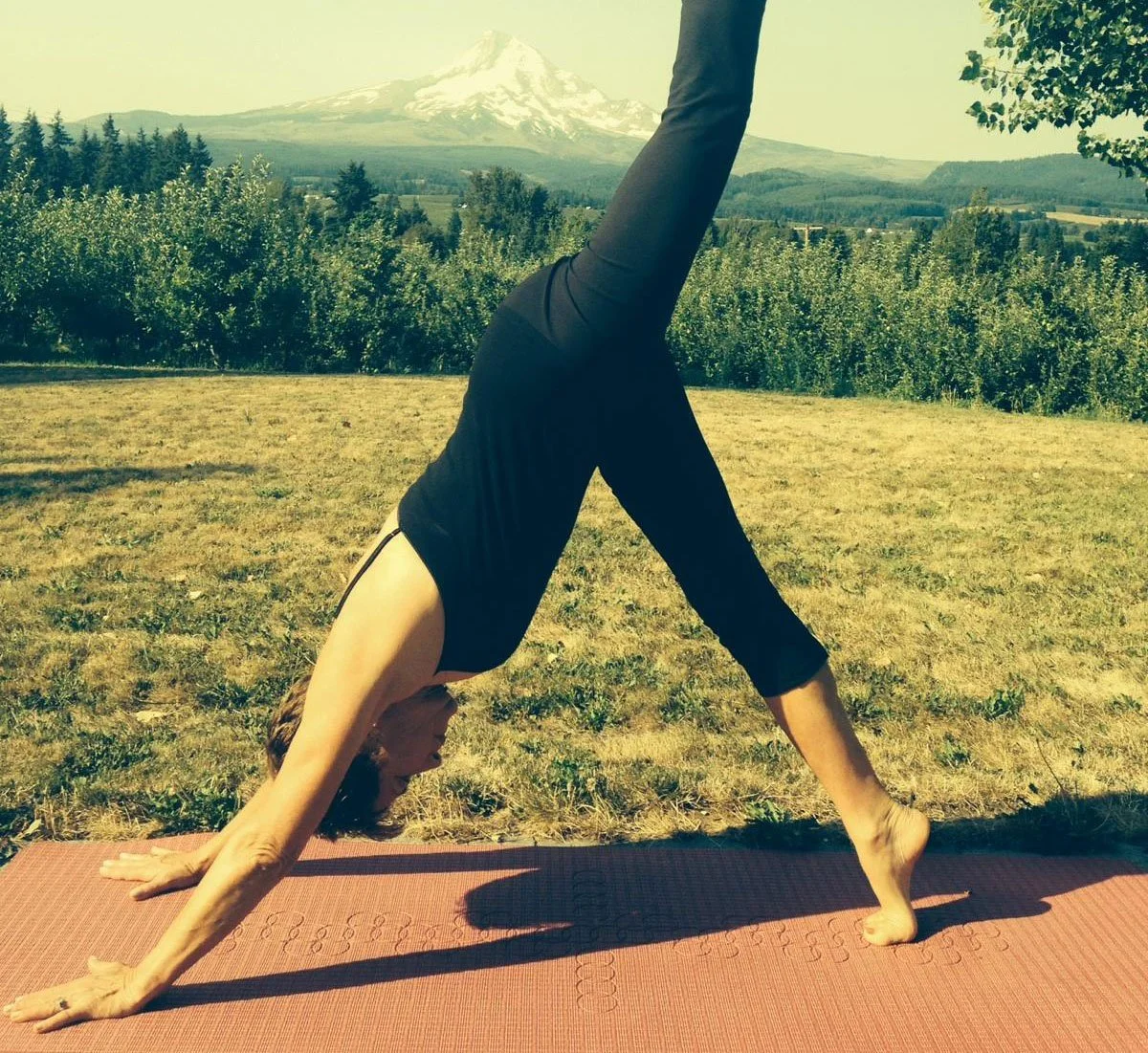 Wisdom of Yoga: Rewards Come from the Work