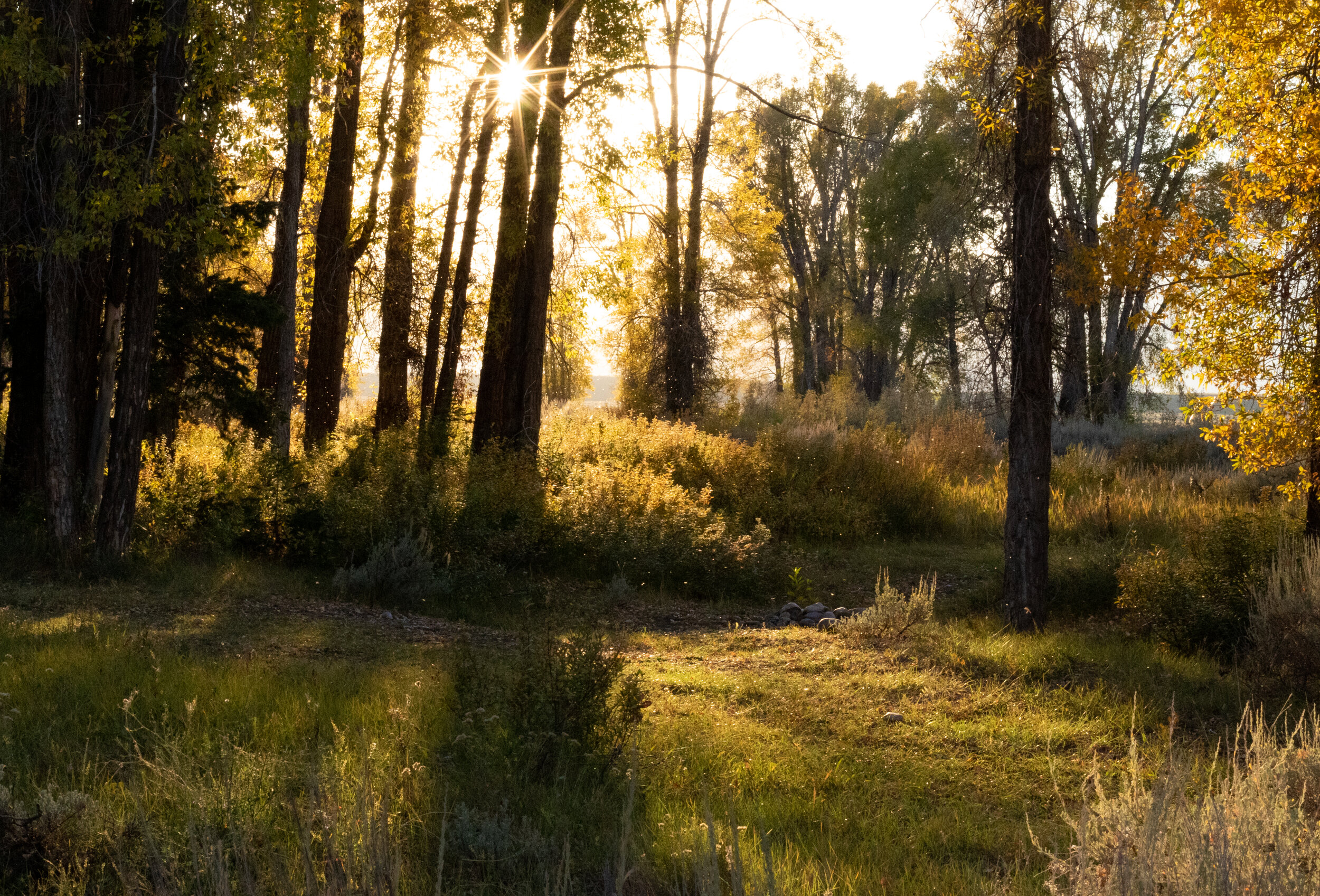 Gros Ventre Campground