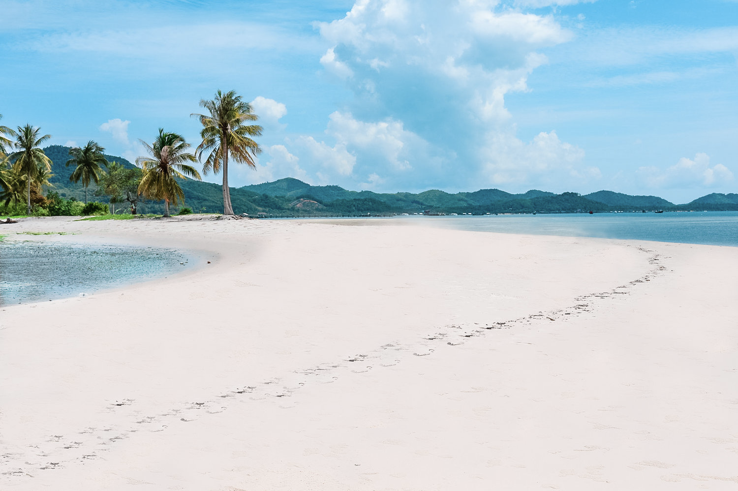 Screen Shot 2020-03-13 at 12.15.12 AM.png