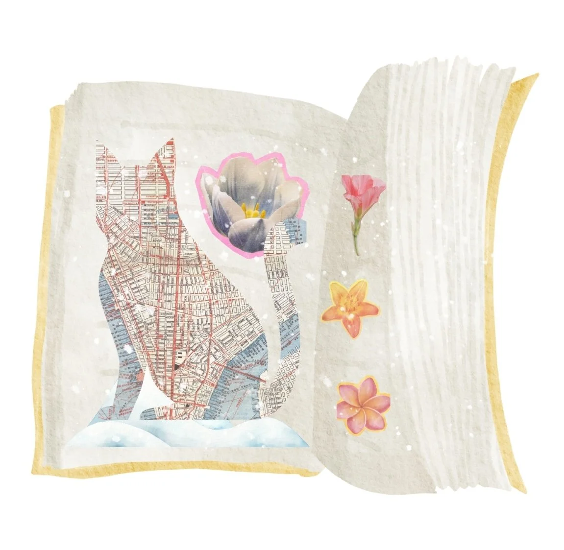 Wednesday   1/14-3/18