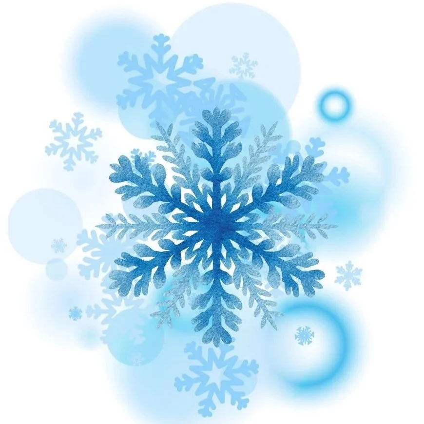 Second+Nature+Arts+-+Snowflake+1.jpg